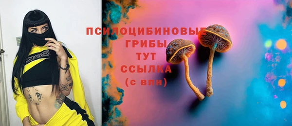 стаф Зеленокумск