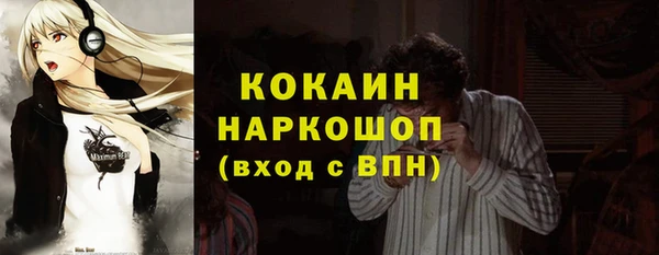 spice Инсар