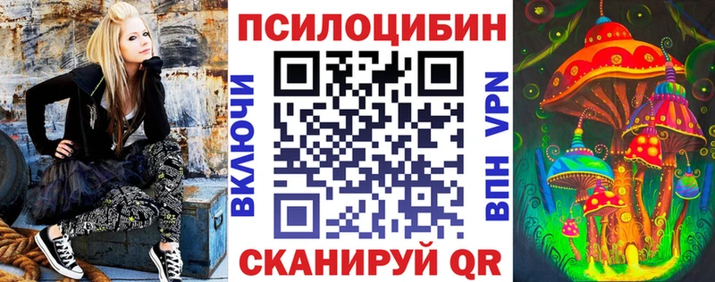 Купить  Елизово  Псилоцибиновые грибы прущие грибы 